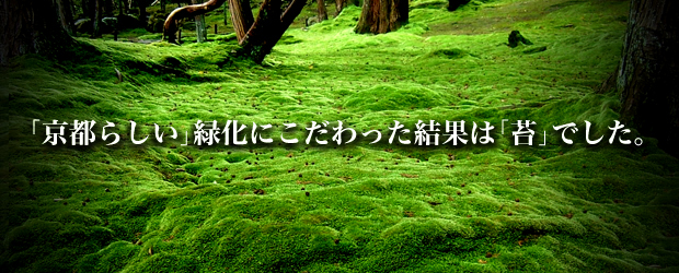 ۃC[W